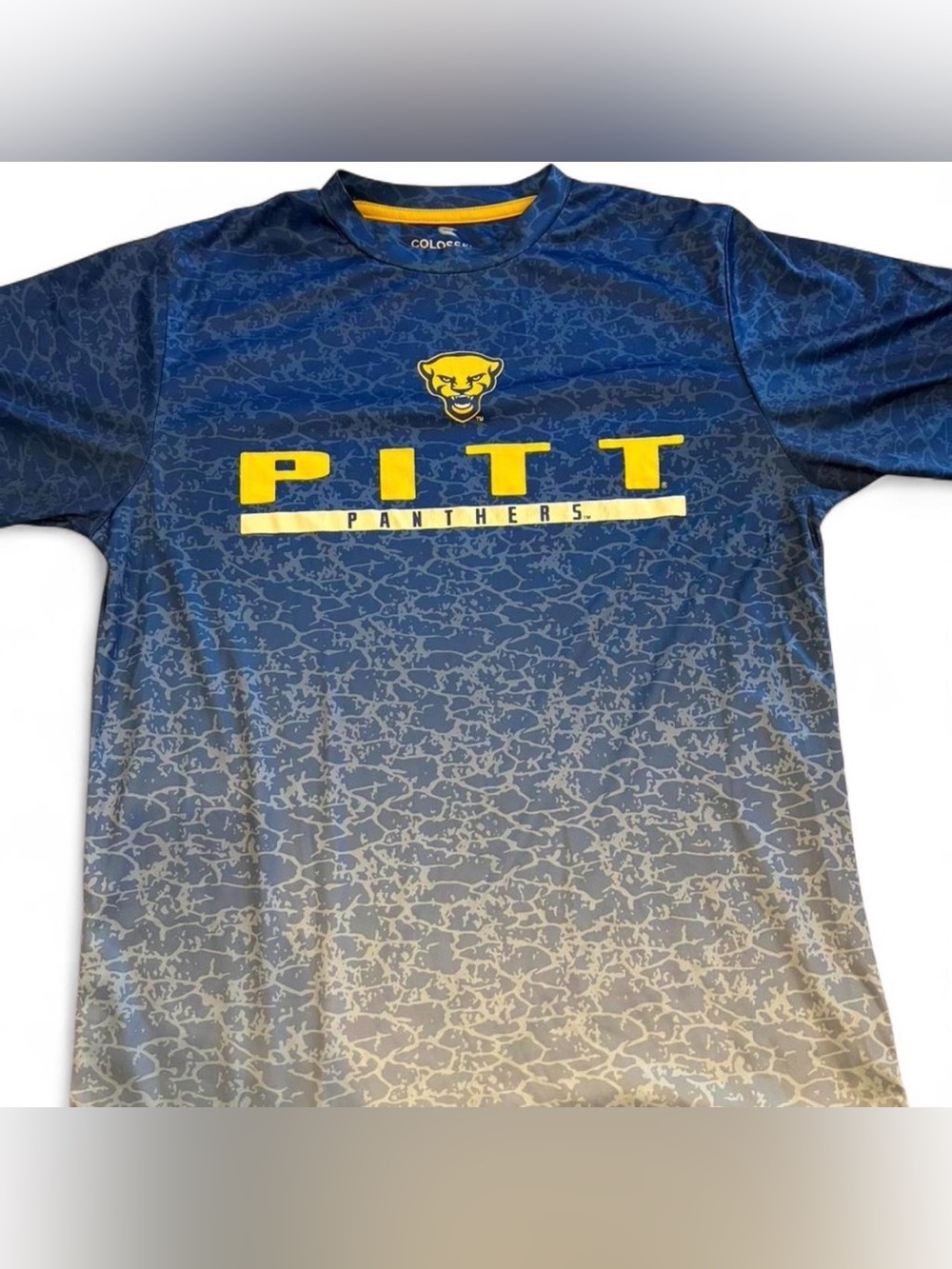 Pitt Panthers Men’s Medium Ombré T Shirt